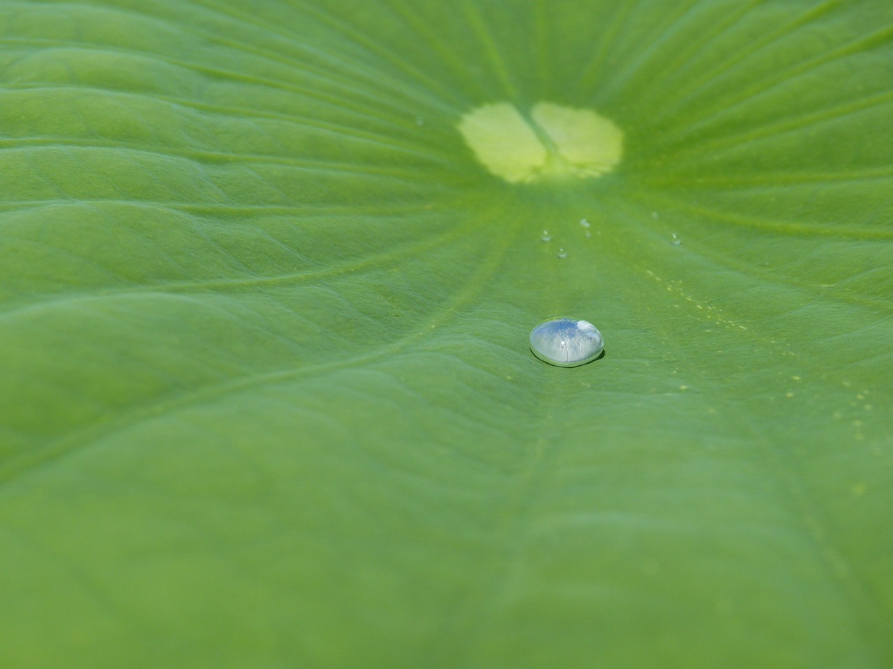 Pulizia in fase di collaudo